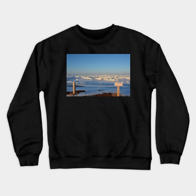 Frozen Danger Crewneck Sweatshirt by rconyard